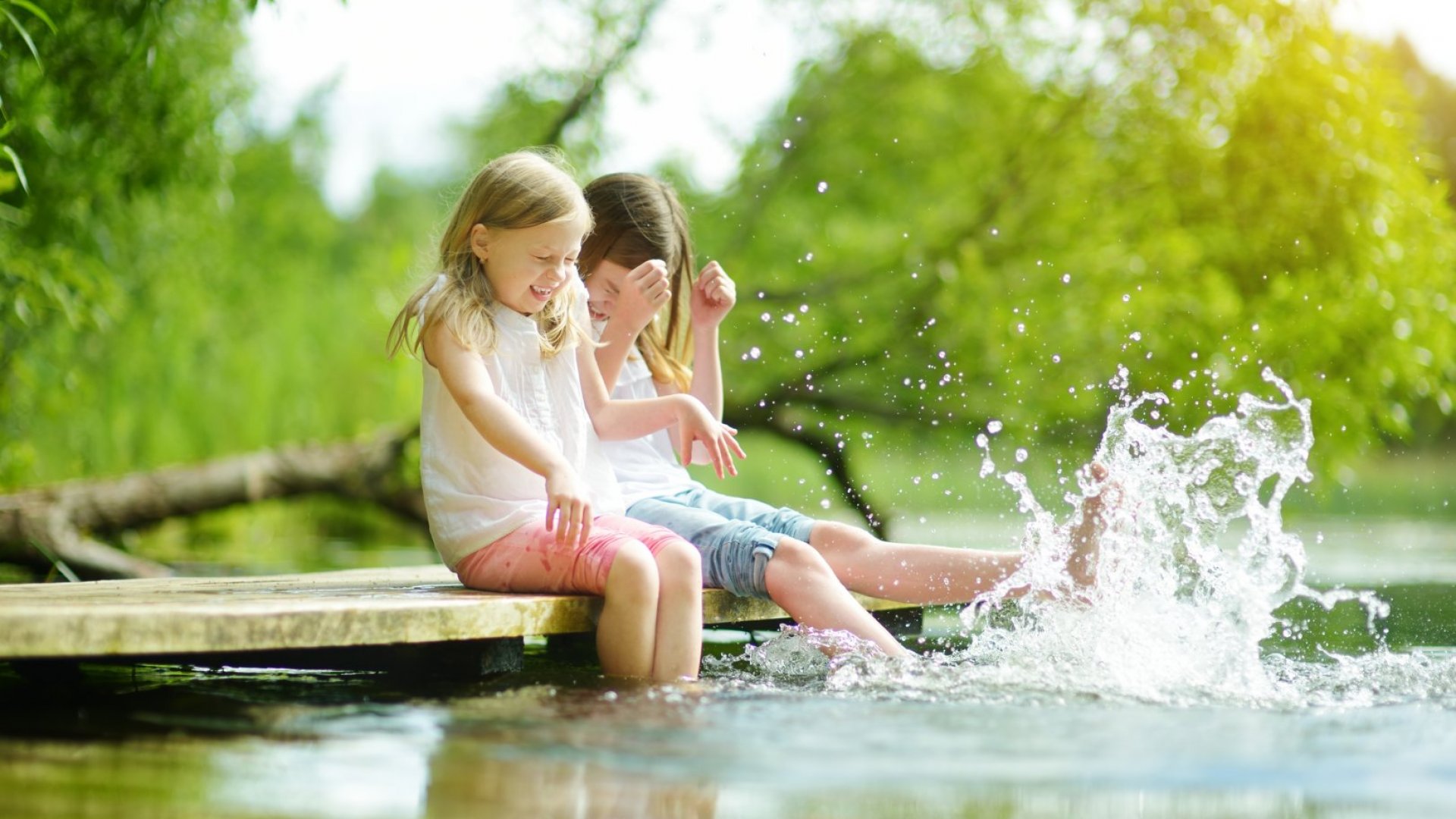 Landschap, natuur en recreatie